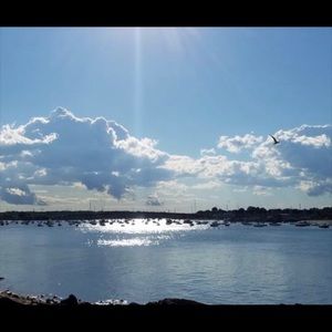 Meet your Posher, Abdul